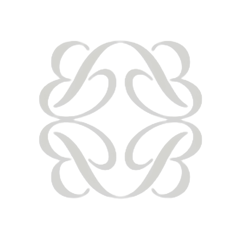 Hotel Botika logo