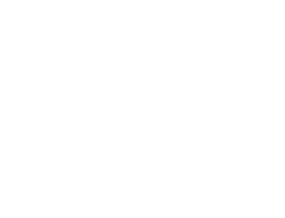 Pantelić Group